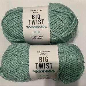 Big Twist Living Yarn in Sage (2 skeins)